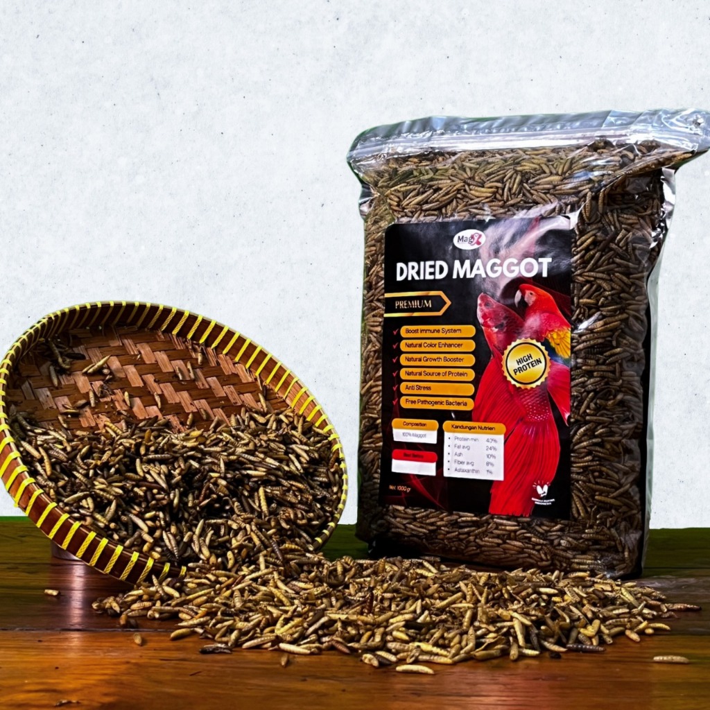 Magx Maggot Kering 1Kg Maggot BSF Kering Grade A+ Premium