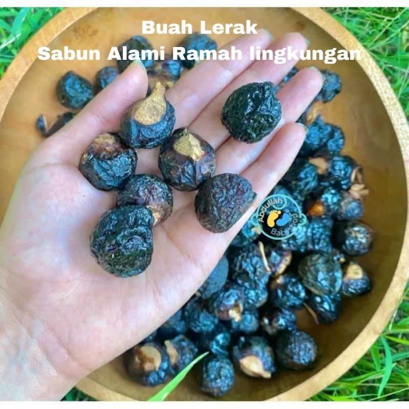 PROMO Buah Lerak 100 gram  Soapnuts Soapberries Klerek Utuh Untuk Cuci clodi, Menspad, Batik, Perabo
