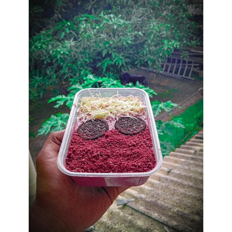 

Brownies Lumer Redvelvet/dessert box/Brownies kukus lumer