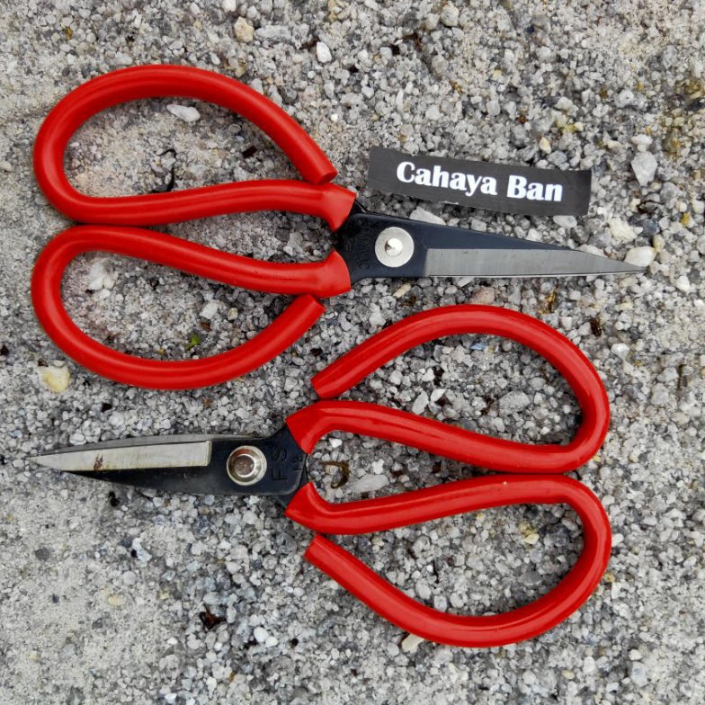 

Terbaru Gunting kodok serbaguna 91