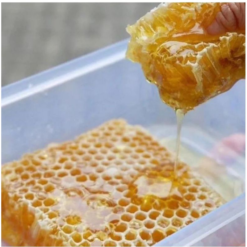 

Madu sarang melifera 250gr