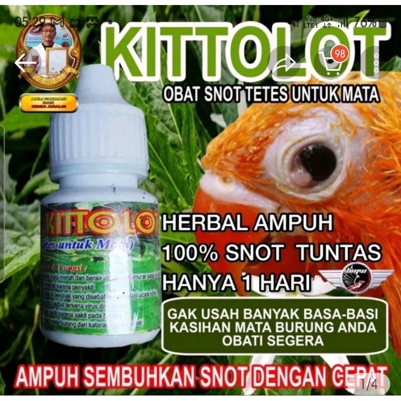 KITOLOT TETES OBAT TETES MATA BURUNG DAUN KITOLOT OBAT BURUNG SNOT KATARAK HAMPIR BUTA