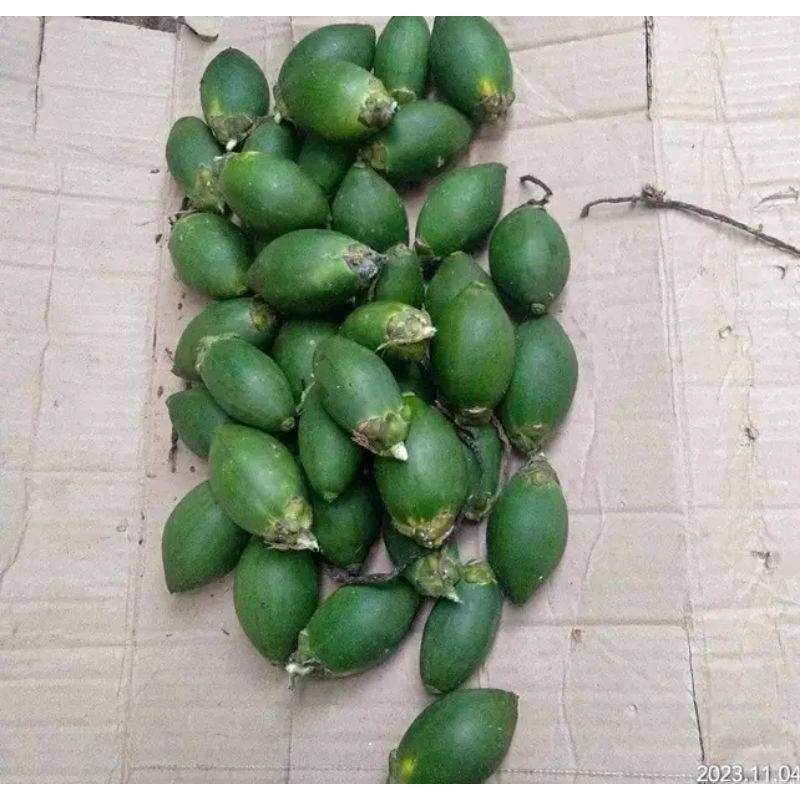 

BUAH PINAG HARGA UNTUK SATU KILO