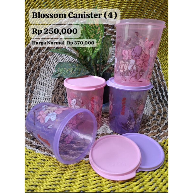 BLOSSOM CANISTER - MOORLIFE