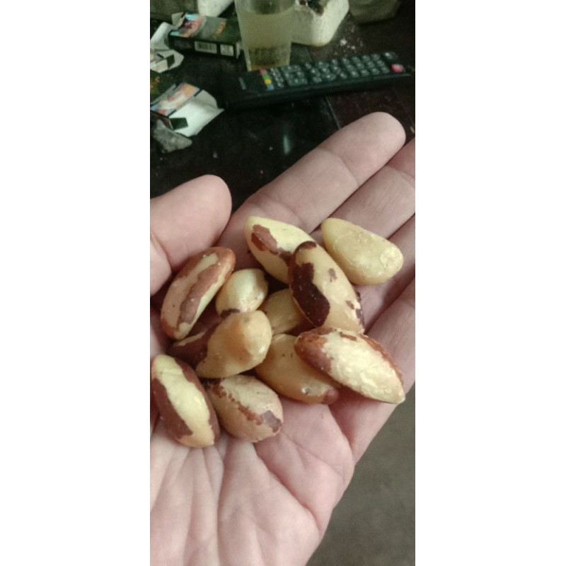 

kacang brazil, brazil nut cuci gudang