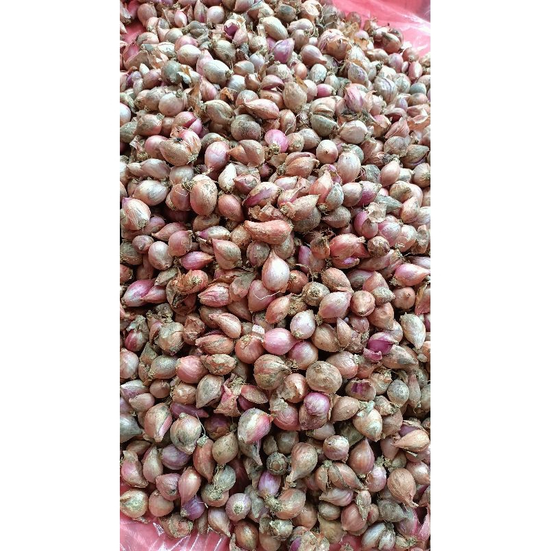 

Bawang merah segar (kering)