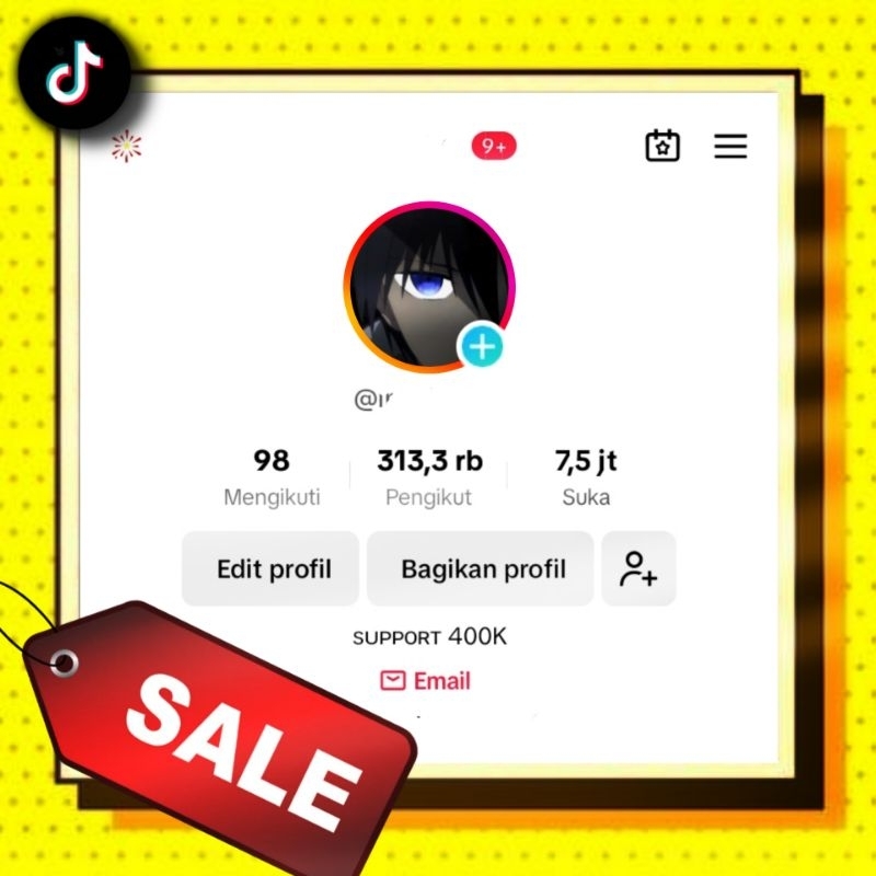 AKUN TIKTOK SELEB REAL 300K FOLLOWERS (Game) ANTI HACKBACK Aman dan Amanah *cuma ada satu*