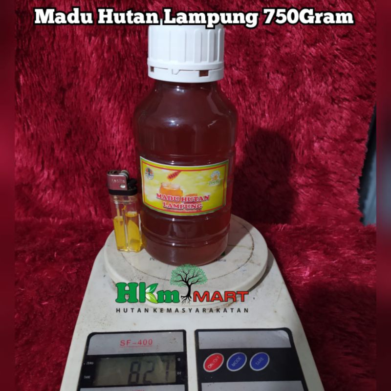 

madu hutan lampung 750gram