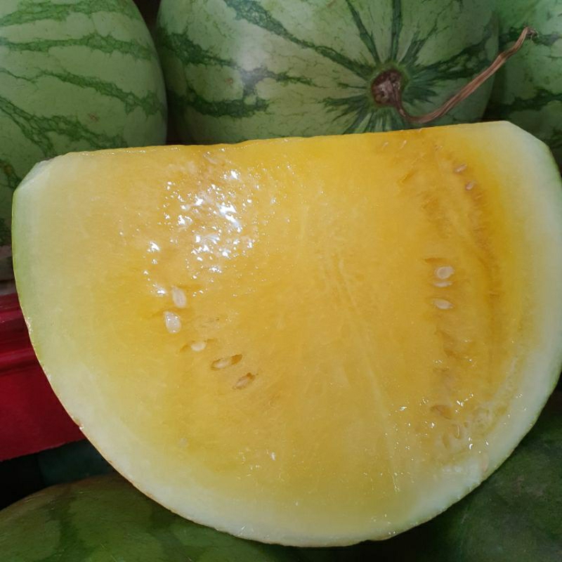 

Semangka Kuning Tanpa Biji 3-5kg