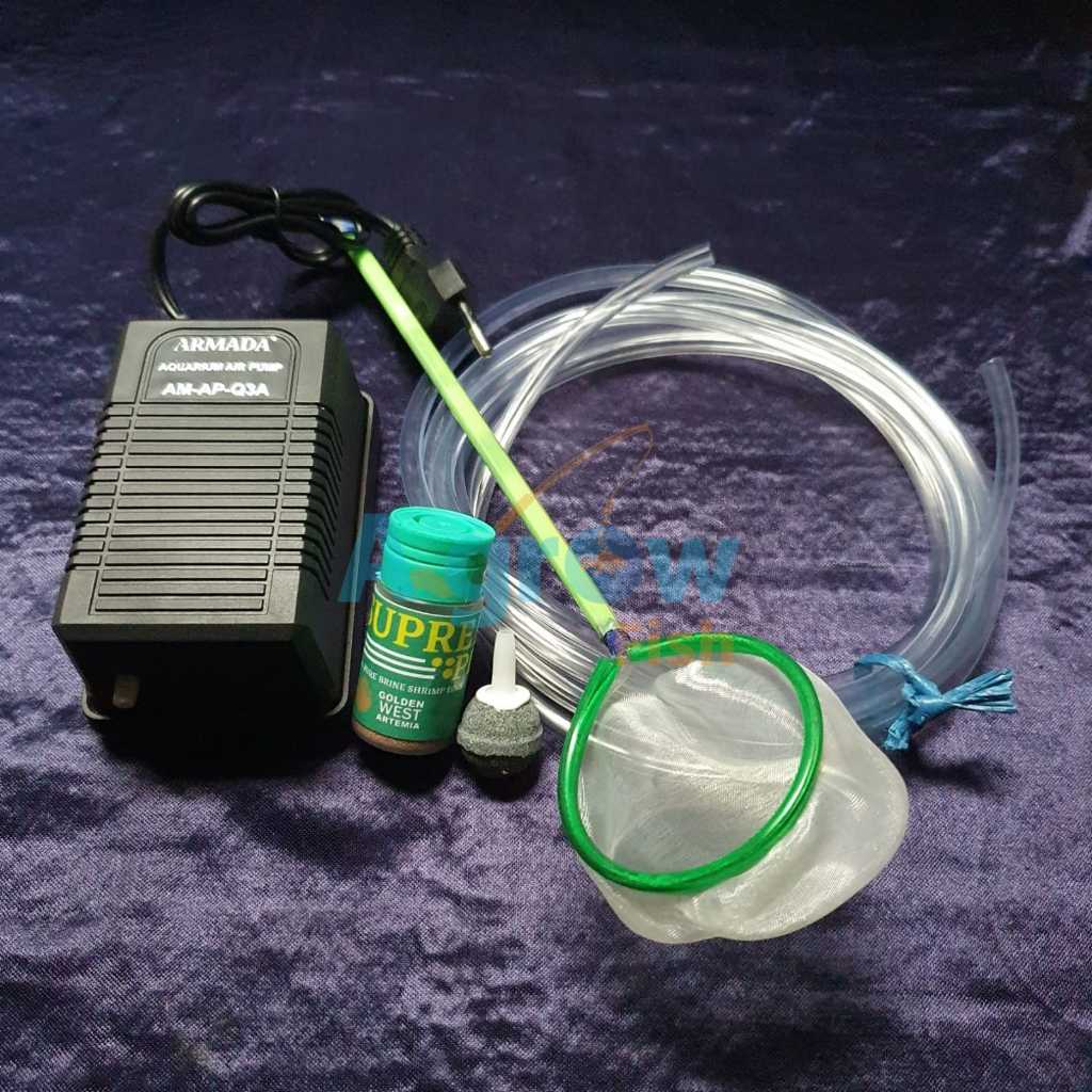 Paket Lengkap Tetas Artemia Supreme Plus Golden West Kultur 10gram Artemia Tetas Untuk Pakan Ikan Hi