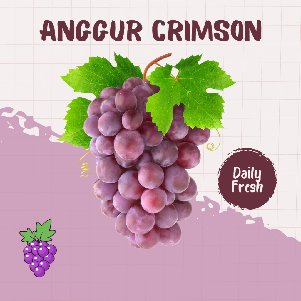 

Anggur Crimson Red USA | Green Farm