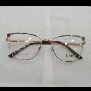 frame Dior