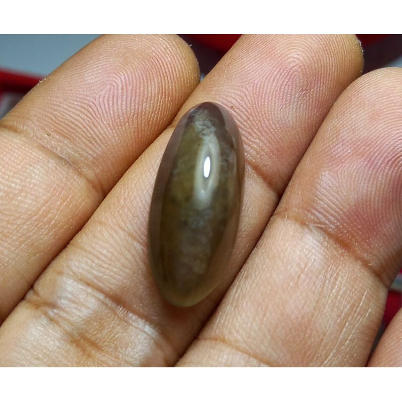 Batu Akik Pandan Lumut Klasik