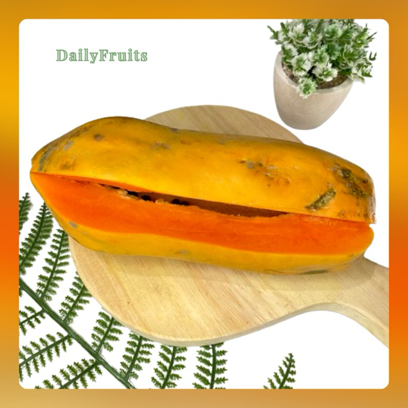 

Pepaya California Fresh 1 Pcs | DailyFruits