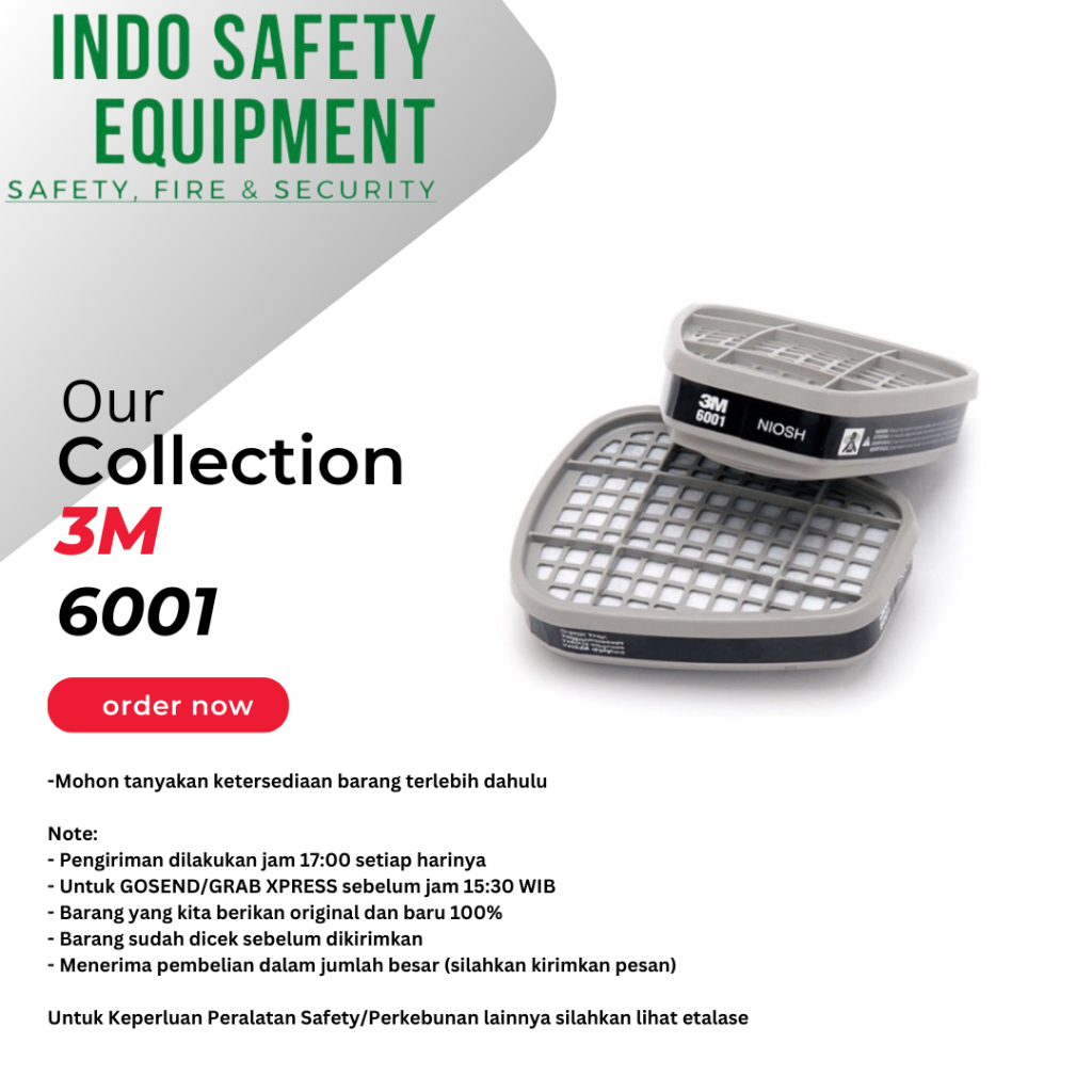 Catridge 3M type 6001