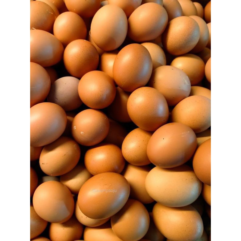 

TELUR AYAM 1KG