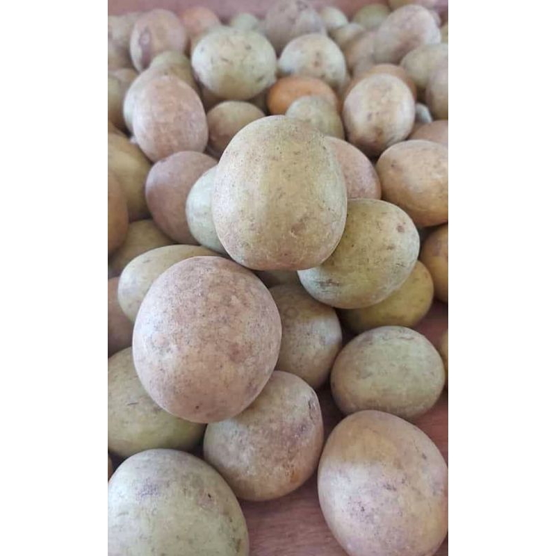 

Buah sawo manila, berat 1 kg (pengiriman dr medan)