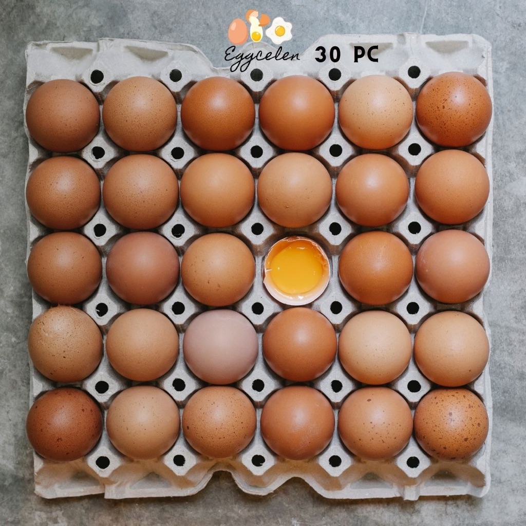 

Telur Ayam Negeri Premium 30 Pcs Bersih Fresh Grade A kualitas terbaik peternakan
