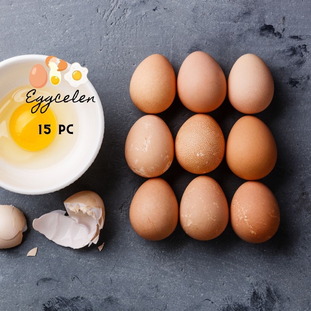

Telur Ayam Negeri Premium 15 pcs Bersih Fresh Grade A kualitas terbaik peternakan langsung