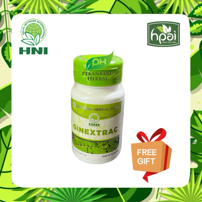 KAPSUL GINEXTRAC HNI HPAI OBAT HERBAL 50 KAPSUL