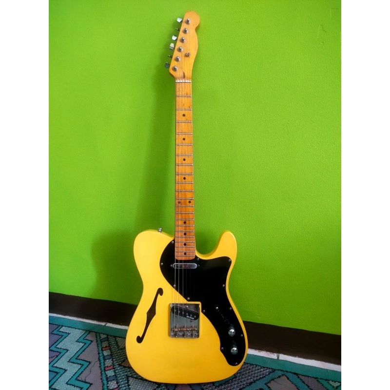 Gitar Model Telecaster Thinline