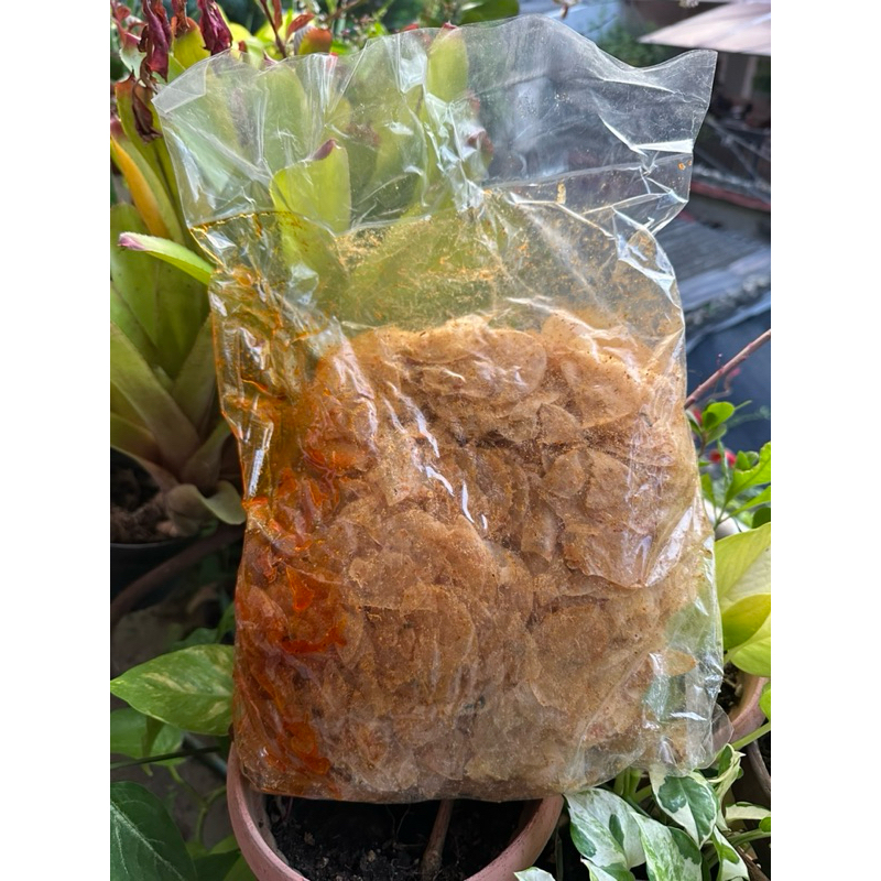 

Kripik keripik kripik kaca kripik kaca pedas daun jeruk keripik kaca pedas daun jeruk 1kg