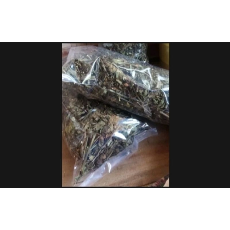 

Kumis Kucing kering 100grm murah