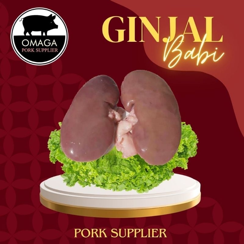 

GINJAL BABI