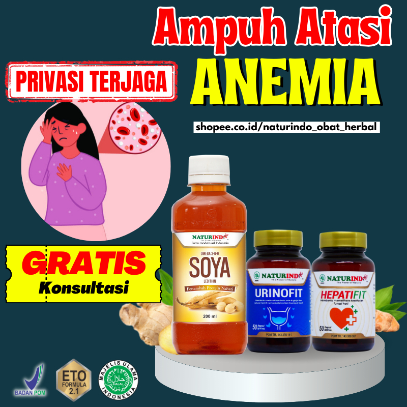 Paket Obat Sakit Kepala Kurang Darah Anemia Lemah Letih Lesu Pingsan Vitamin Penambah Darah Pucat Se