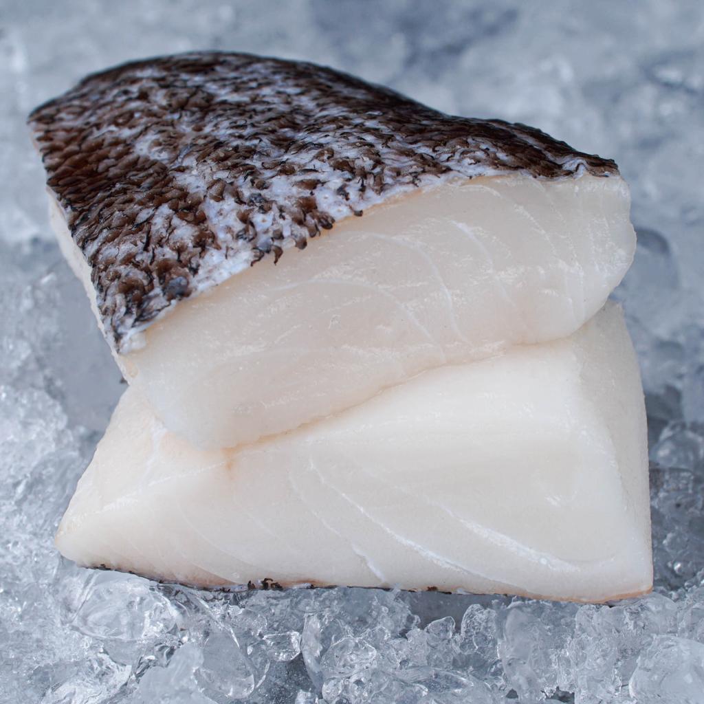 

Pattagonian Tootfish Fillet