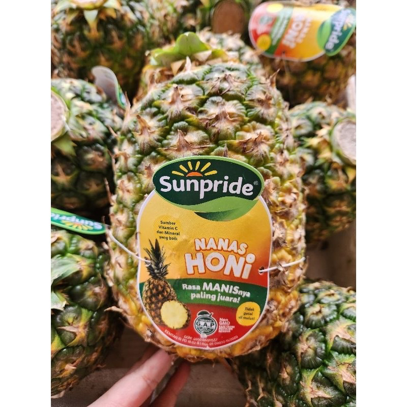 

BUAH NANAS MADU HONI / NANAS SUNPRIDE