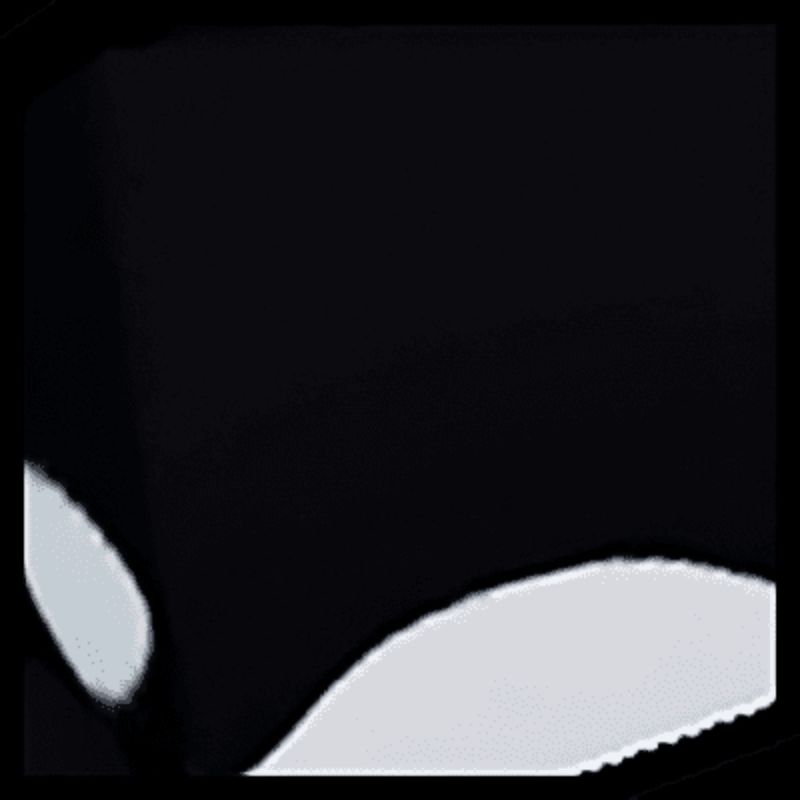 HUGE PET ORCA