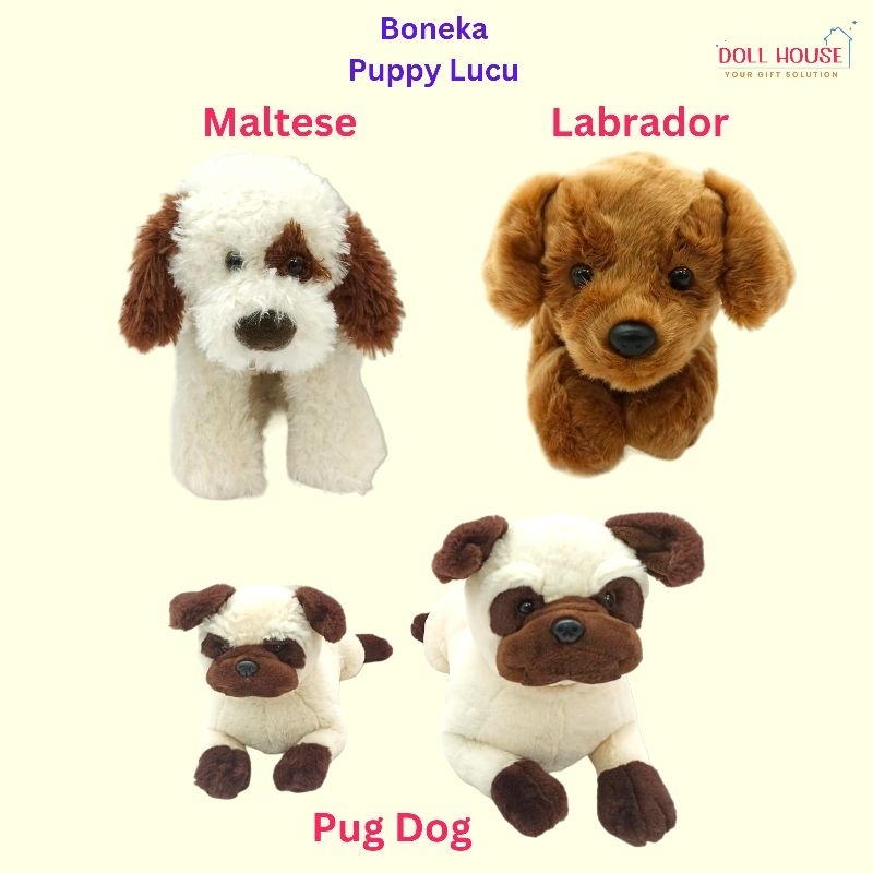 Boneka Anjing Maltese / Boneka Doggy / Boneka Maltese / Boneka Anjing Malshi / Boneka Anjing Maltese