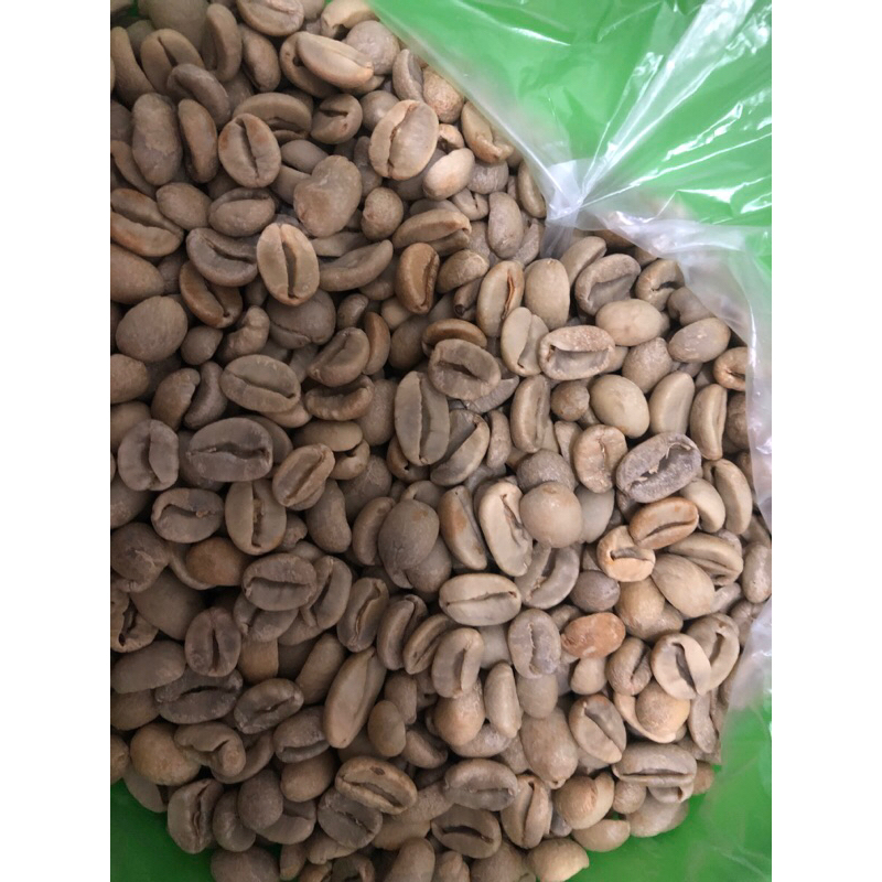 

greenbeen arabica lusian cakrabuana