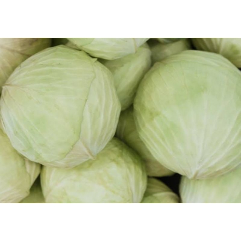 

KOL BERASTAGI 1000 GRAM