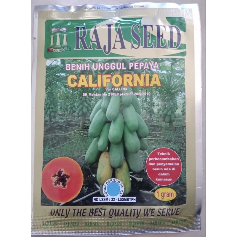 BENIH PEPAYA CALIFORNIA/BIBIT PEPAYA/BENIH KATES/BIBIT KALIFORNIA