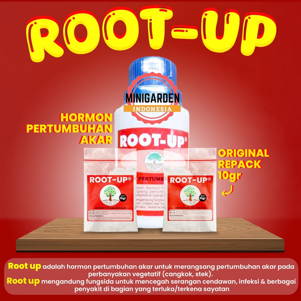 ECER 10 GRAM ROOT UP perangsang akar dan hormon pertumbuhan akar cangkok stek batang rootup