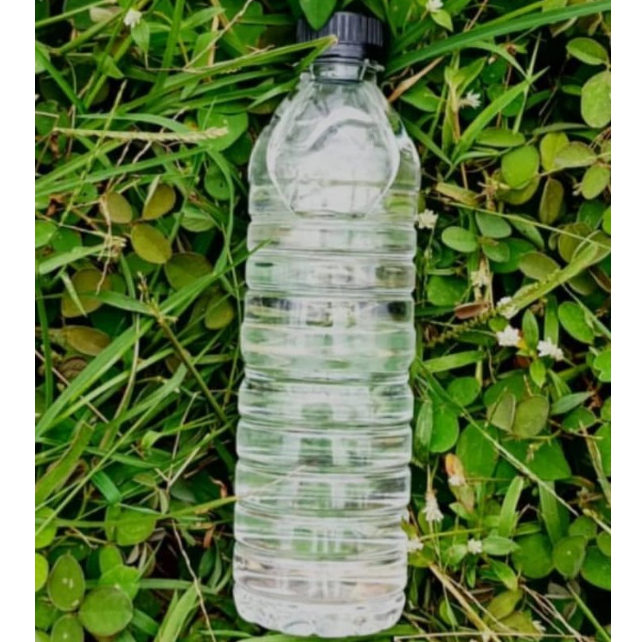

ARBAL (minuman tradisional) Bali STRONG