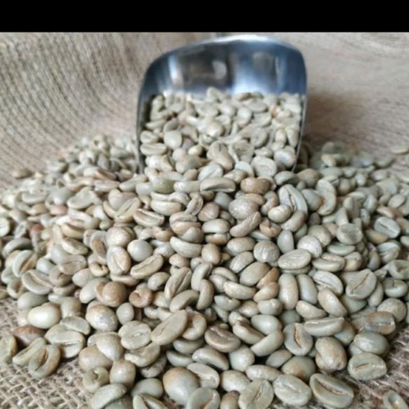 

green bean robusta dampit semeru
