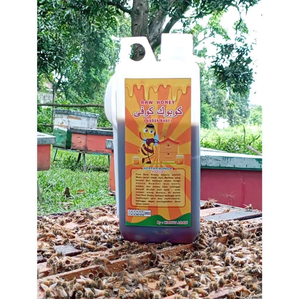 

Madu Asli 100% - Murni Nektar Akasia 1 KG - Pure Raw Honey