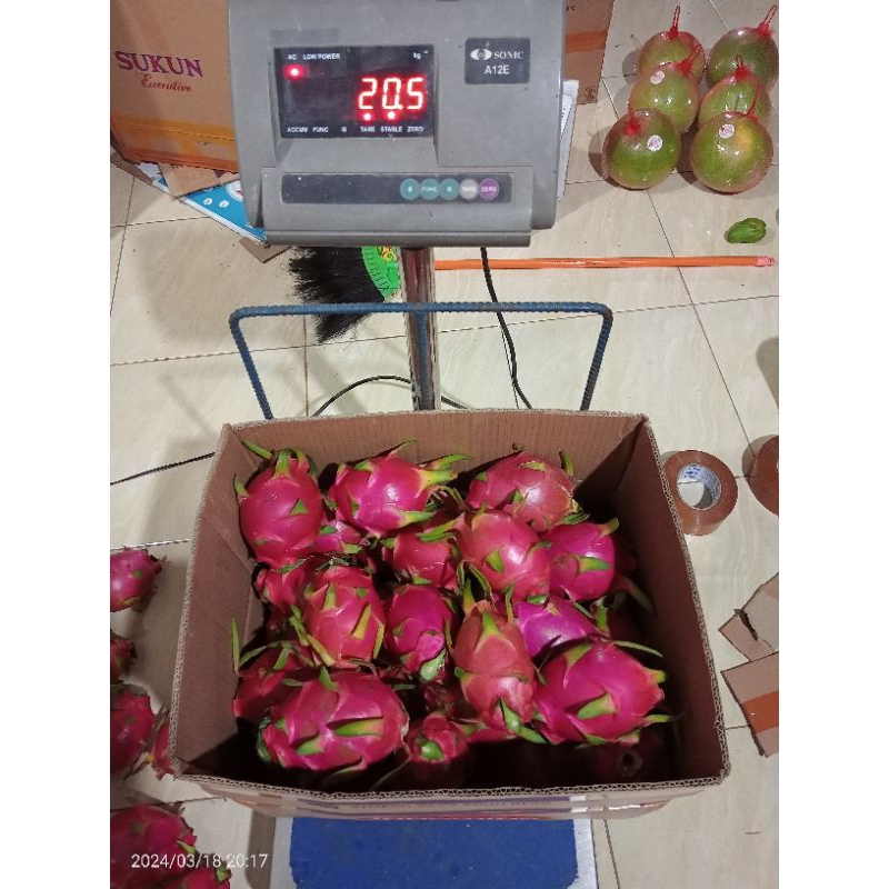 

BUAH NAGA PUTIH || 20.KG