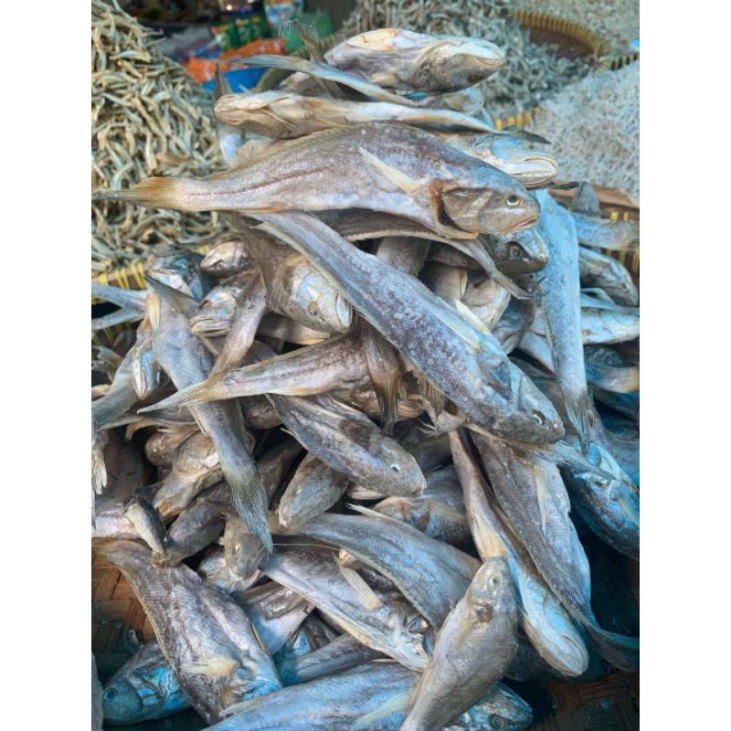 

Ikan asin Sangge @250gram