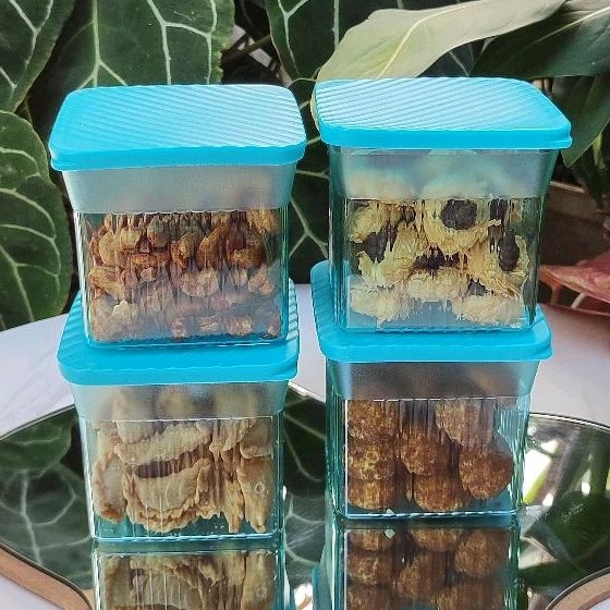SALE  FAMILLY MATE SQUARE 590 ML - BIRU SET ISI 4 - TOPLES KUE LEBARAN LUCU PREMIUM - TUPPERWARE
