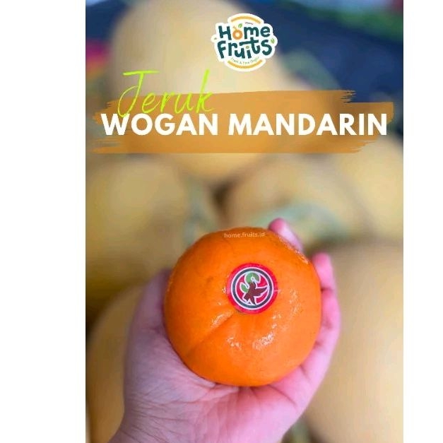 

Jeruk Impor Wogan Mandarin