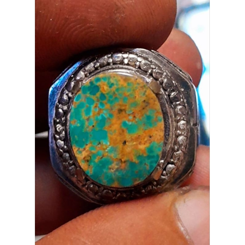 Pirus Persia gradasi hijau ceplok kuro urat emas