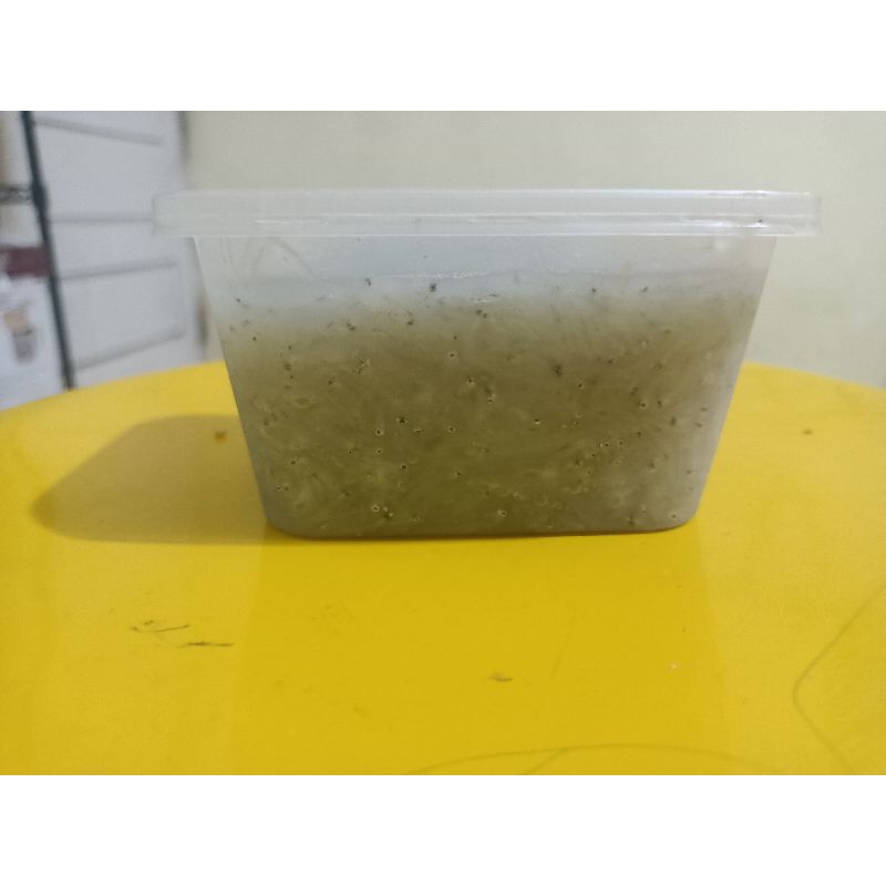 Ikan teri basah (MPASI) Frozen