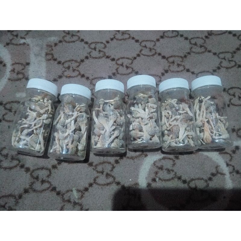 Mpot putih