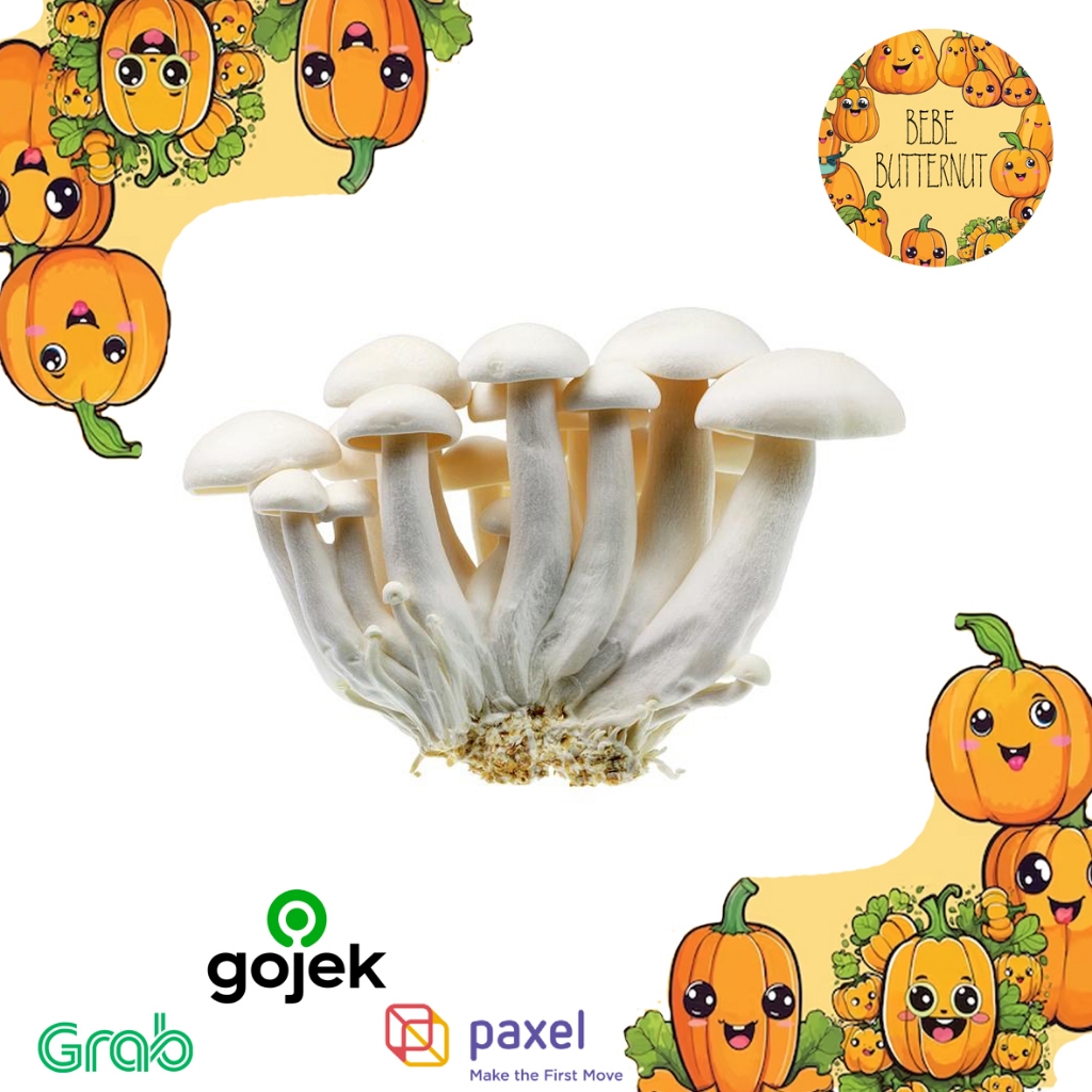 

JAMUR - WHITE SHIMEJI MUSHROOM - JAMUR SHIMEJI PUTIH -1 PACK - 150 GR