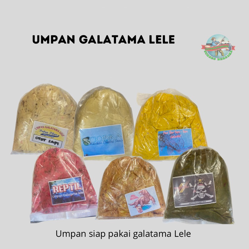 Umpan Galatama Lele Siap Pakai Otot Sapi, Daging Bayawak, Telor Sapu
