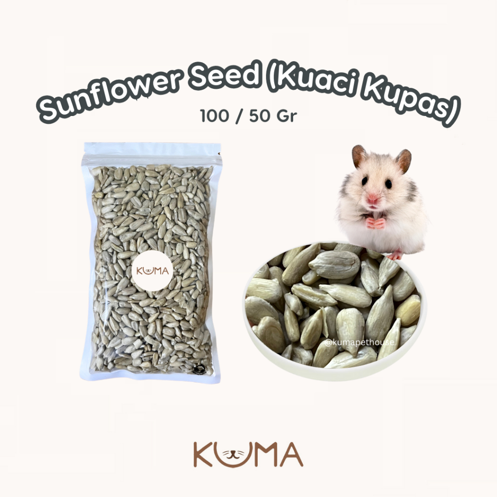 [KUMA] Kuaci Hamster - Kuaci Kupas Tanpa Kulit Premium Sunflower Seed | Cemilan Camilan Hamster Gerb